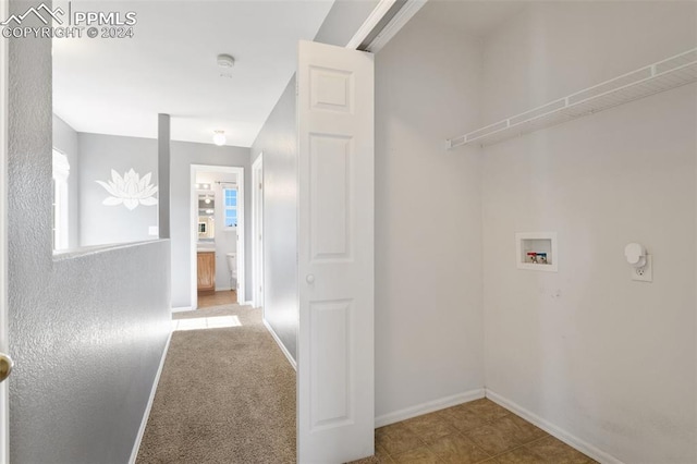 clothes washing area with washer hookup and light colored carpet