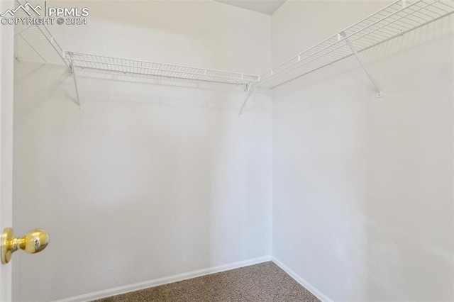 spacious closet with carpet flooring