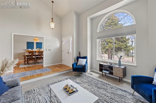 living room with hardwood / wood-style floors and a high ceiling