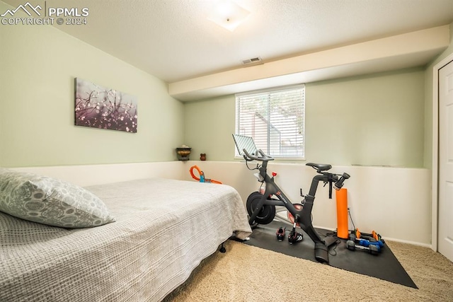 bedroom with carpet flooring