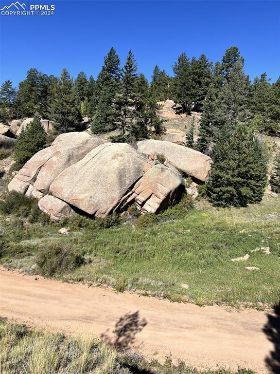 830 Pinon Ln, Florissant CO, 80816 land for sale