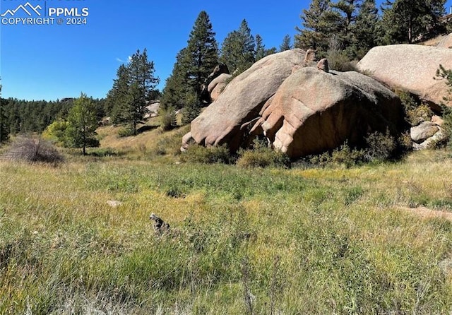 Listing photo 3 for 830 Pinon Ln, Florissant CO 80816