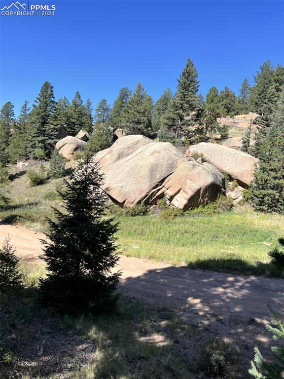 830 Pinon Ln, Florissant, CO 80816