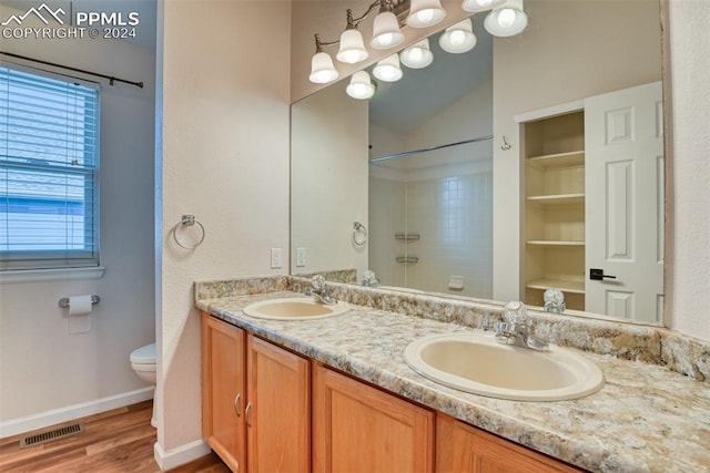 bathroom featuring hardwood / wood-style floors, vanity, and toilet