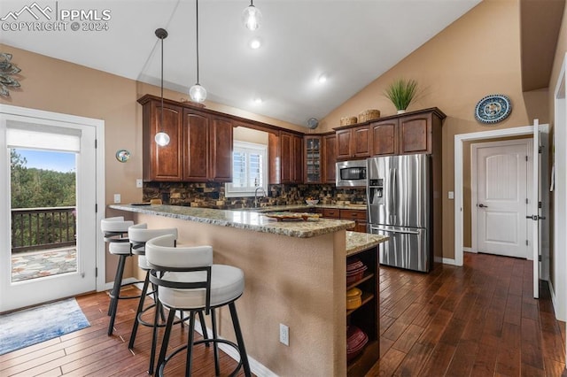 kitchen featuring dark hardwood / wood-style flooring, stainless steel appliances, and a wealth of natural light