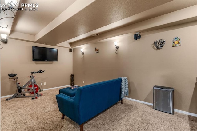 view of carpeted home theater