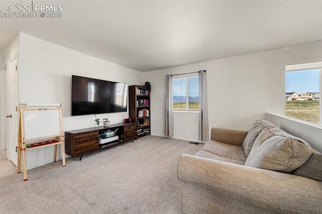 living room with light carpet