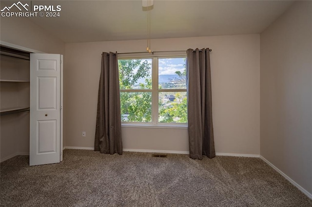 unfurnished bedroom with carpet and a closet