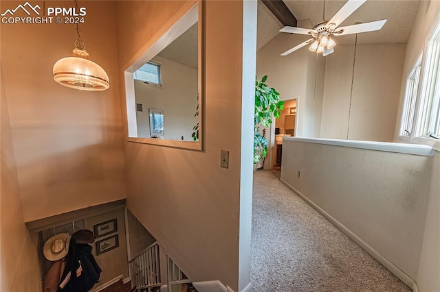 corridor featuring carpet flooring and high vaulted ceiling