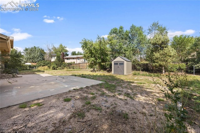 view of yard with a patio and a storage unit