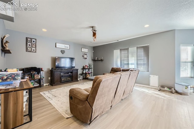 living room with a textured ceiling and light hardwood / wood-style flooring