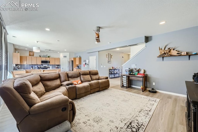 living room featuring light hardwood / wood-style flooring