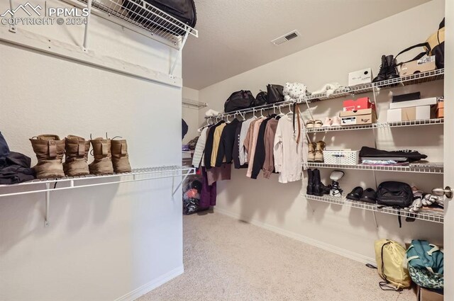 spacious closet with carpet floors