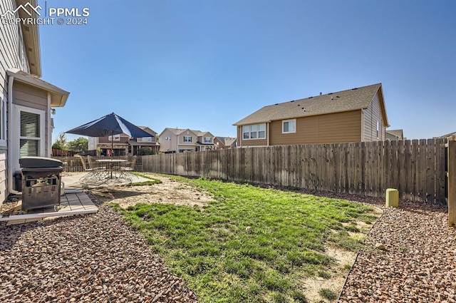 view of yard featuring a patio area