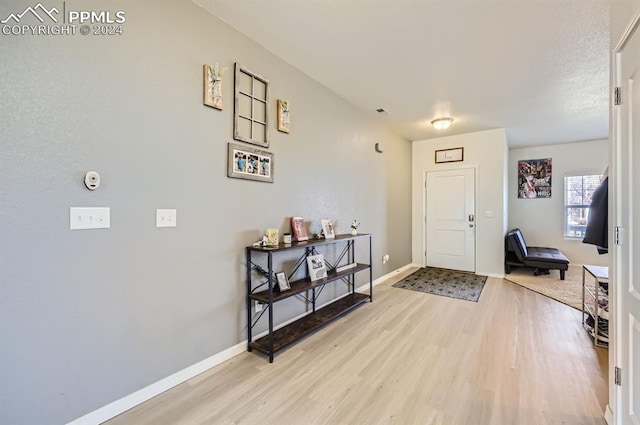 foyer with light hardwood / wood-style floors