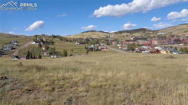 Listing photo 3 for W Womack St, Cripple Creek CO 80813