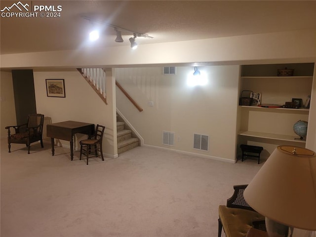 basement with carpet flooring and track lighting