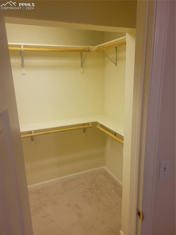 spacious closet with light colored carpet