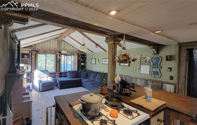 231 Plainview Pl, Manitou Springs, CO 80829 - living area with wainscoting, carpet, and wood walls