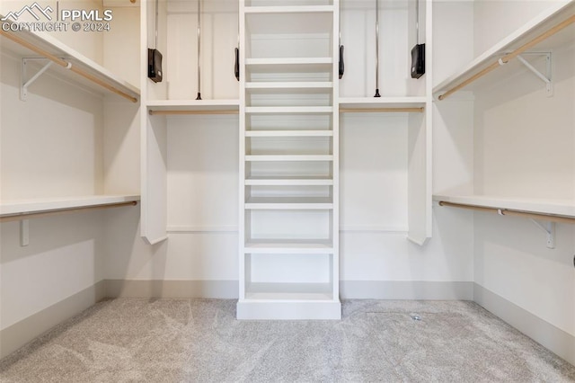 walk in closet with light carpet