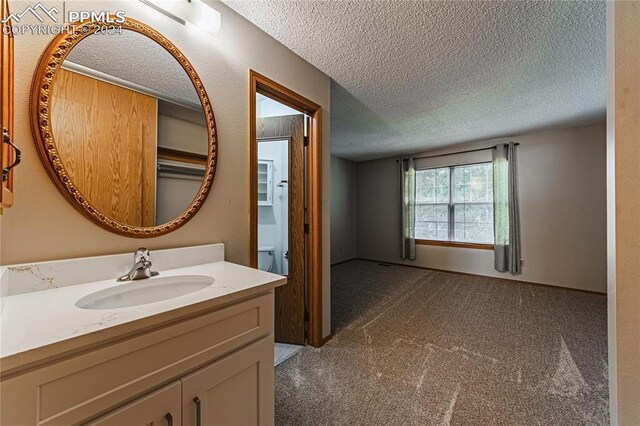 bathroom featuring vanity and a textured ceiling