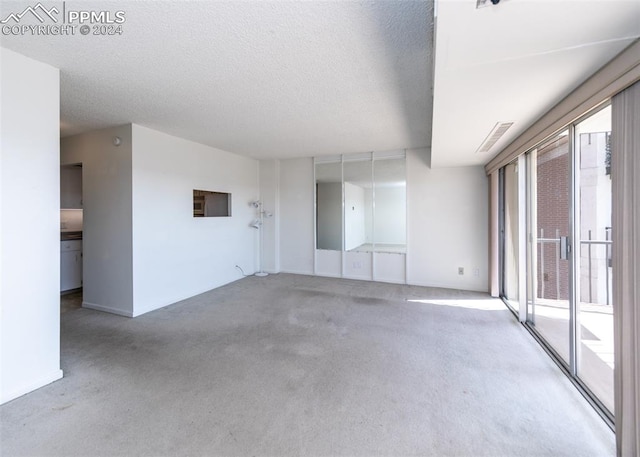 carpeted spare room featuring plenty of natural light and a textured ceiling