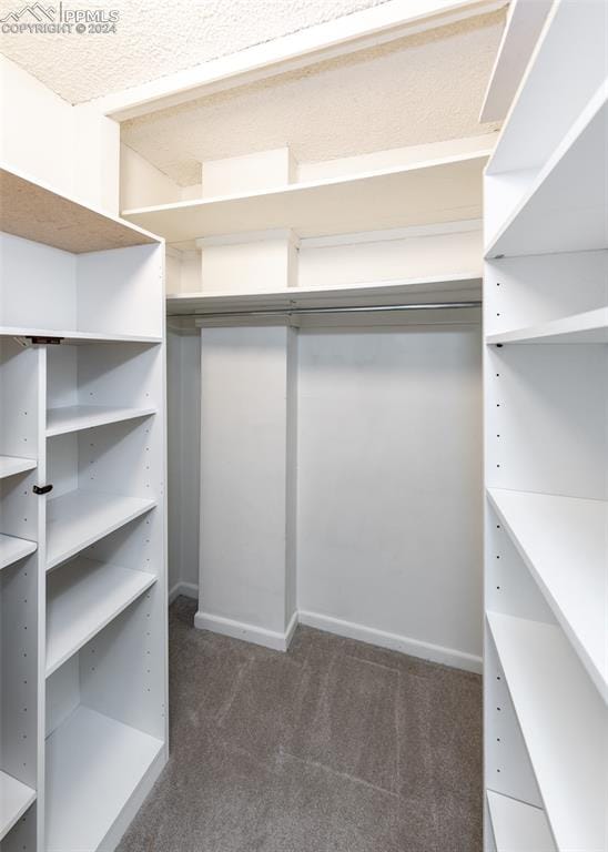 spacious closet featuring dark colored carpet