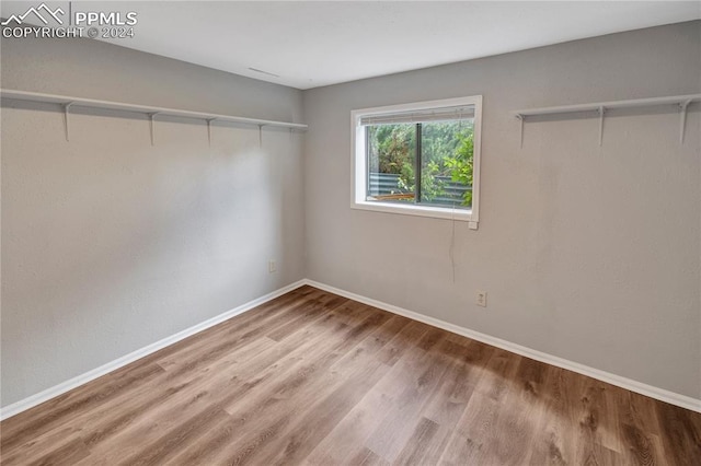 walk in closet featuring wood-type flooring