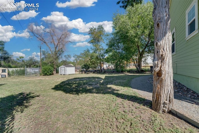 view of yard with a storage shed