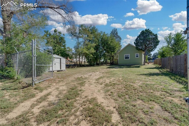 view of yard featuring a storage shed