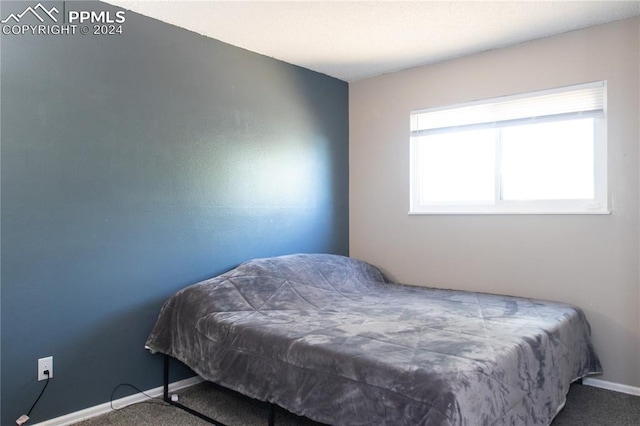 bedroom featuring carpet