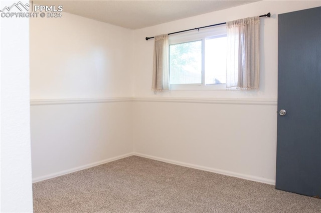 empty room featuring carpet