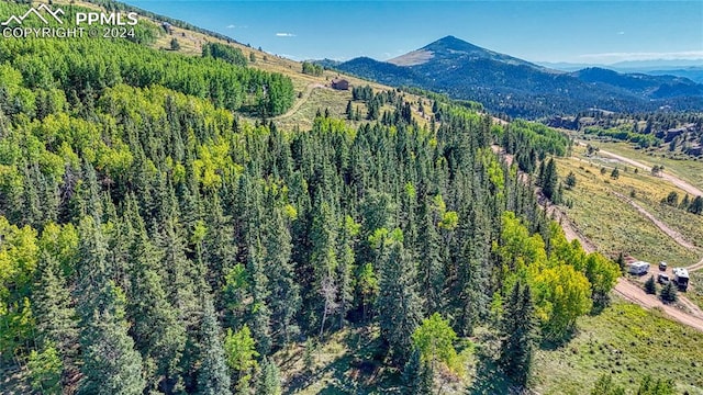 72 Troy Way, Cripple Creek CO, 80813 land for sale