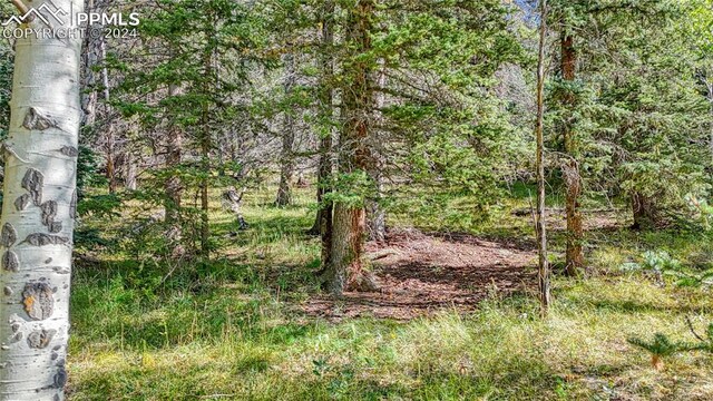 72 Troy Way, Cripple Creek, CO 80813