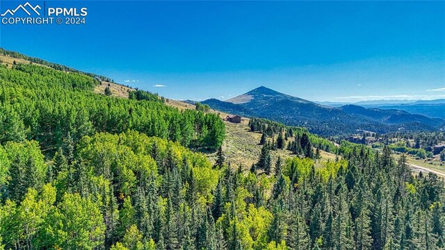 72 Troy Way, Cripple Creek, CO 80813