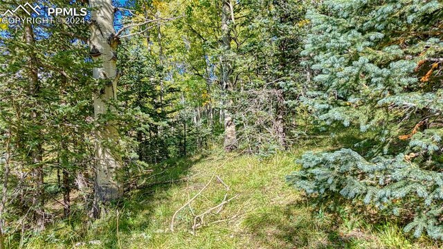 72 Troy Way, Cripple Creek, CO 80813