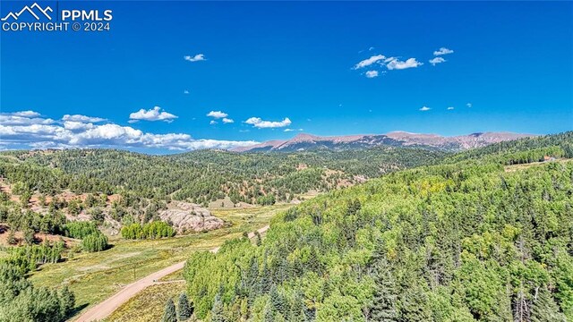 72 Troy Way, Cripple Creek, CO 80813