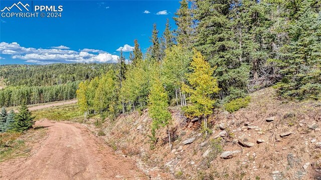 72 Troy Way, Cripple Creek, CO 80813