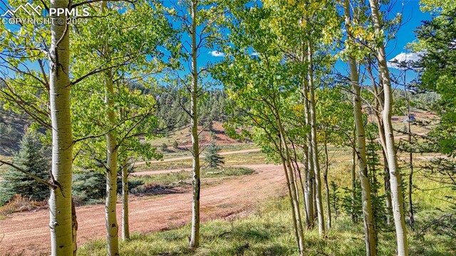72 Troy Way, Cripple Creek, CO 80813