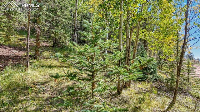 72 Troy Way, Cripple Creek, CO 80813