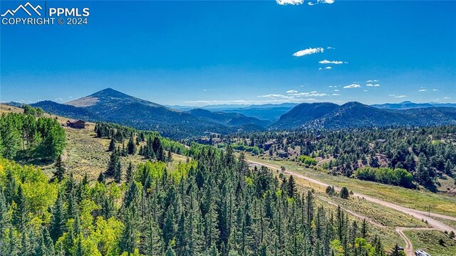 72 Troy Way, Cripple Creek, CO 80813