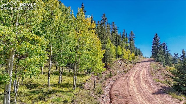 Listing photo 2 for 72 Troy Way, Cripple Creek CO 80813