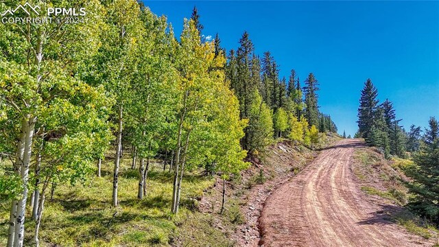 72 Troy Way, Cripple Creek, CO 80813