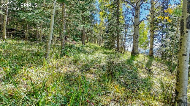 72 Troy Way, Cripple Creek, CO 80813