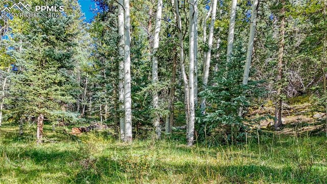 72 Troy Way, Cripple Creek, CO 80813