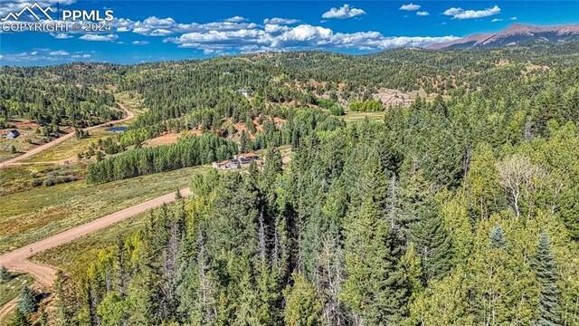 72 Troy Way, Cripple Creek, CO 80813