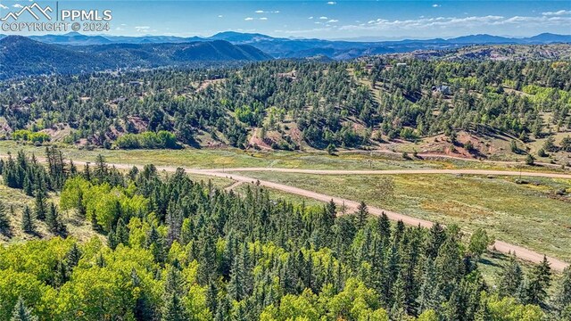 72 Troy Way, Cripple Creek, CO 80813