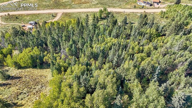 72 Troy Way, Cripple Creek, CO 80813