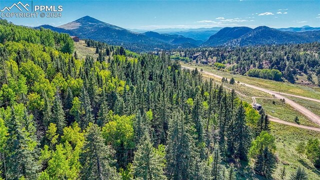 72 Troy Way, Cripple Creek, CO 80813