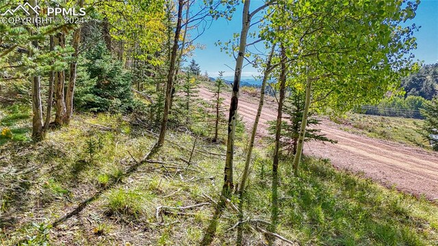 72 Troy Way, Cripple Creek, CO 80813